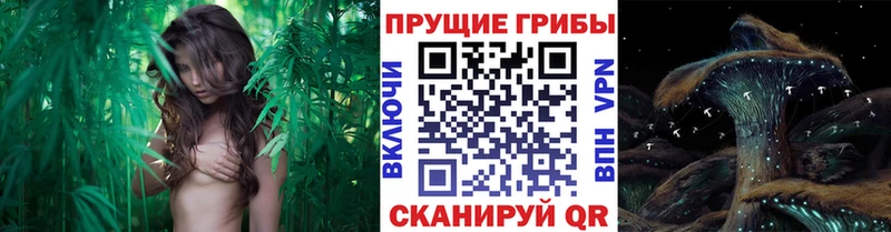 Псилоцибиновые грибы мицелий  магазин  наркотиков  Крым 